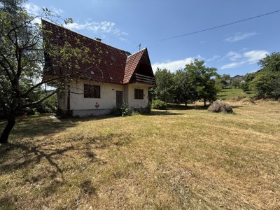 IMG_6469.jpg