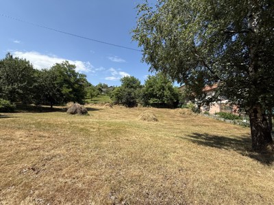 IMG_6468.jpg