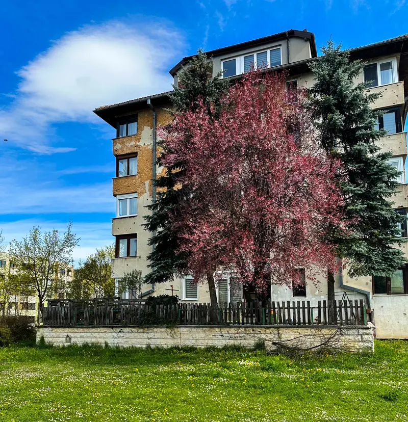 Stan sa pogledom Dobrinja