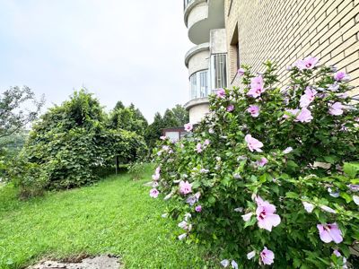 64e32cb0b53b91968492fe83_4.jpg