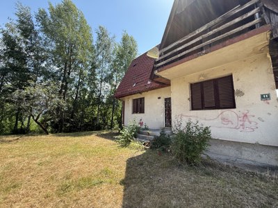 IMG_6467.jpg