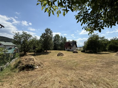 IMG_6463.jpg