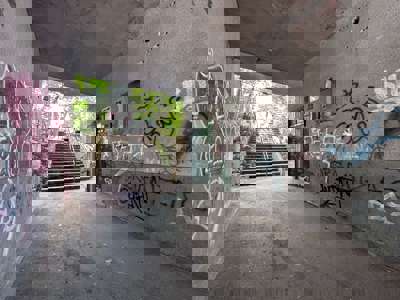 64e4bcf70506b423790cd697_IMG_4319.jpeg
