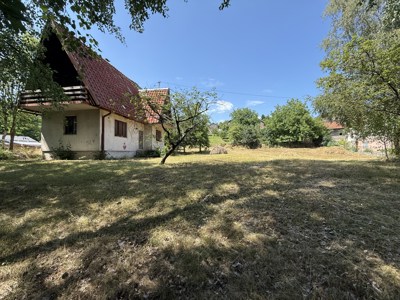 IMG_6470.jpg